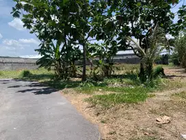 Tanah Jakal Murah 3 Jutaan