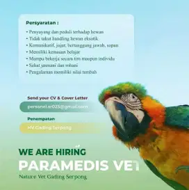 Lowongan Kerja Paramedis Hewan