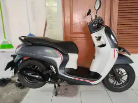 Honda Scoopy Prestige Pajak Hidup