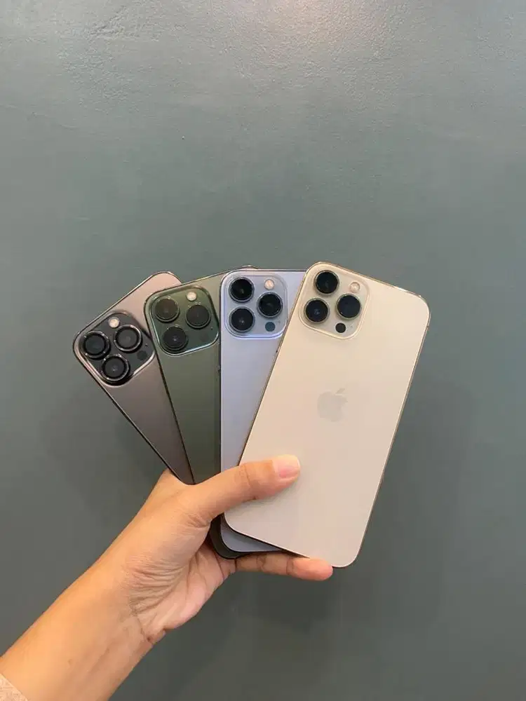 iPhone 13 Pro Max
