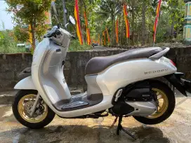 Scoopy Prestige