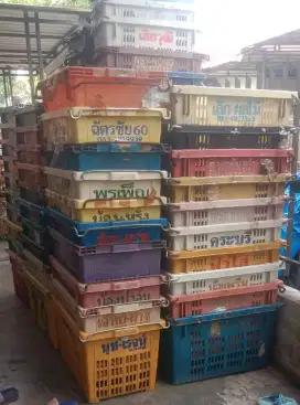 Wadah Penyimpanan Serbaguna