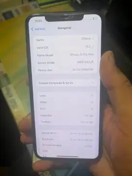 Iphone 11 Pro Max 256Gb