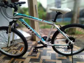 Sepeda mtb united Avalanche uk 26 aloy