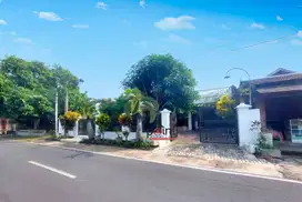 Rumah Klasik Mewah di Tepi Jalan Utama View Sawah Full Furnish