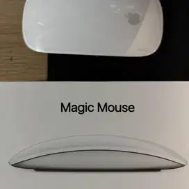Apple Magic Mouse 2 second mulus