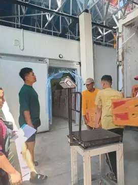 Daging Durian Premium Termurah Area Jogja