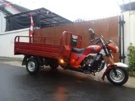 Viar karya 200cc Long 2023