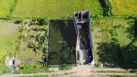 Dijual Tanah Sebelah Kampus Undiksha Jinengdalem Buleleng