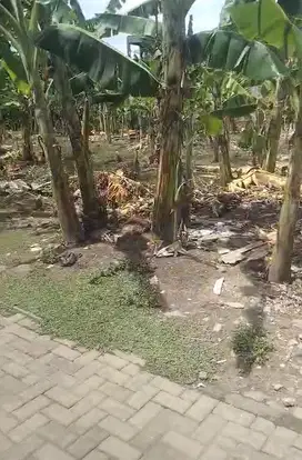 Tanah Strategis dibawah NJOP di pedurungan kidul semarang