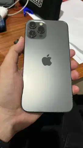 Iphone 12 Pro Max 256 Inter