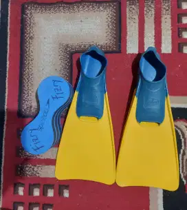Sepatu  renamg katak size 40/41 dan papan pelampung  speedo