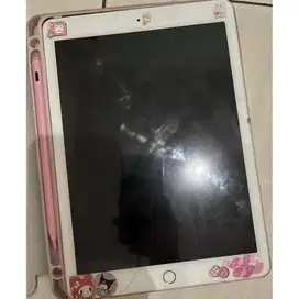 Ipad Pro 9.7 Inch 128Gb RoseGold Second