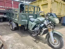 Viar 300cc long