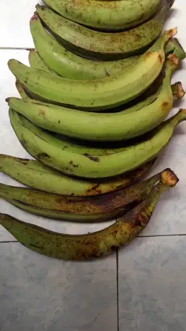 Pisang tanduk pulen