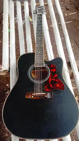 gitarrr akustik elektrik