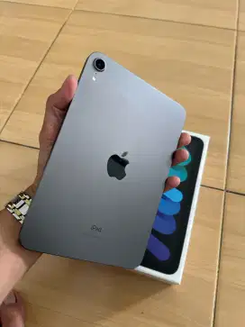 iPhone mini 6 /64 GB