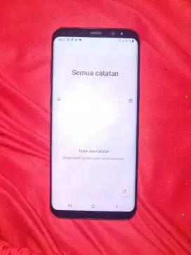 Samsung S8+ Sein