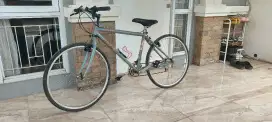 Sepeda Vintage Specialized Stumpjumper Pro