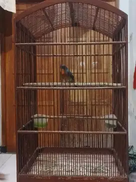 Sulingan harian bunyi
