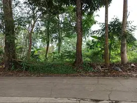 DIJUAL TANAH STRATEGIS DIKAWASAN INDUSTRI CIKEMBAR PARAKANLIMA