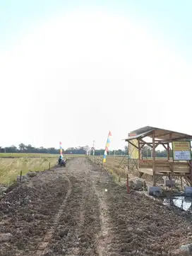 Tanah Kavling Dekat PT Jia Wei Di Desa Padakaton Ketanggungan Brebes