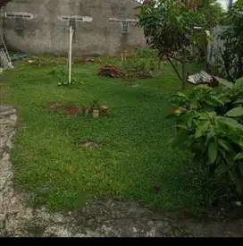 Tanah Murah di bawah NJOP di Pancoran Mas Depok