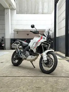 Ducati Desert X (ex-demo ride) 2024