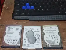 Hardisk laptop 500g