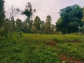 Jual tanah pinggir jalan kabupaten