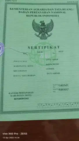 Tanah kosong full pohon jatii 500 pohon