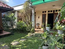 Rumah 1 lantai  dengan suasana sejuk