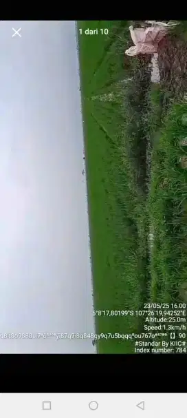 Sawah subur produktif