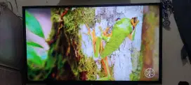 Tv sony bravia digital 19840inch ada YouTube& Netflix