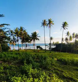 Tanah beach front pantai bonian tabanan bali