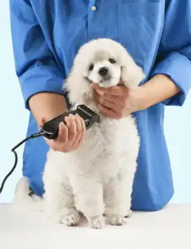 Grooming stayling