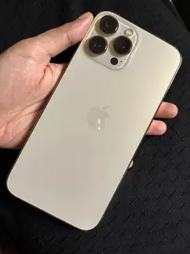 Iphone 13 Pro Max 256Gb Beacukai