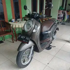 Scoopy keyles 2022