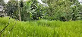 TANAH KEBUN COCOK UNTUK RUMAH DAN VILLA DI BANDUNG BARAT