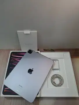 IPAD PRO M2 11 INC 256GB WIFI