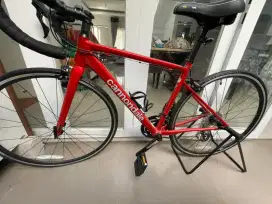 Sepeda roadbike cannonbike 43696,frame51