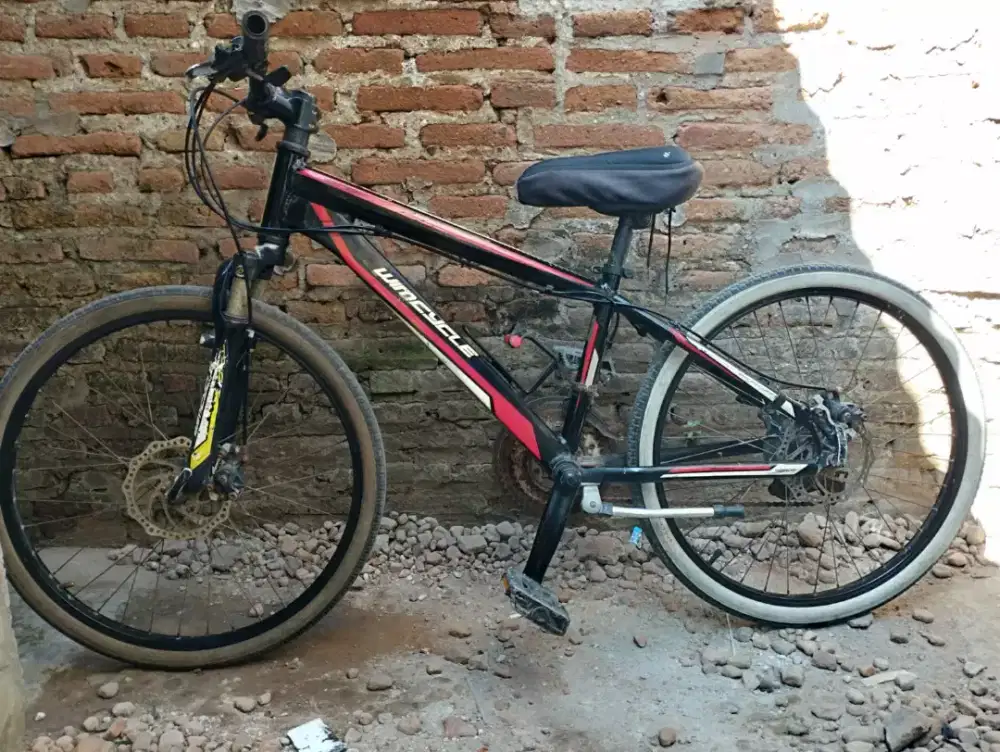 Wimcycle DX UK. 24