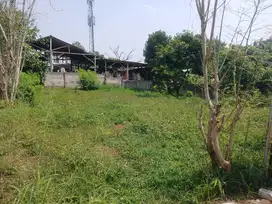 cocok untuk cuan tanah ciputat