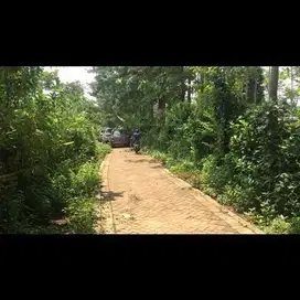 Jual Tanah kebun Jati 7400m2 Pasrepan Pasuruan,dkt wisata Bhakti Alam