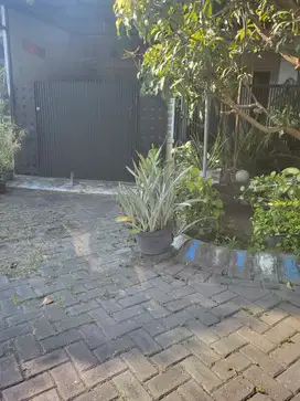 Dijual Rumah Murah Siap Huni Pondok Tjandra Semangka