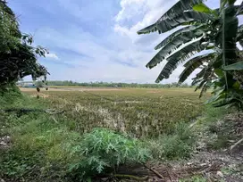 Tanah 3,7 Ha Lingkar Timur Sidoarjo