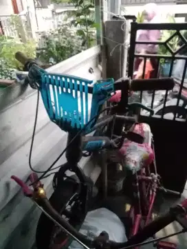 Jual sepeda anak kecil