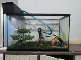 Aquarium Fullset ukuran 60x35x30