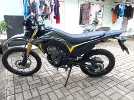 Crf 2024 nyaris baru