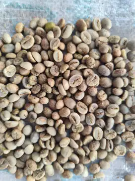 Jual beli kopi green bean